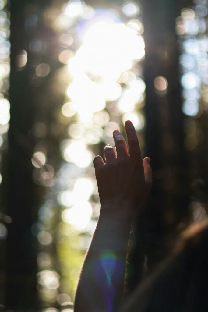 pexels/sarvesh sharma: light overcoming darkness.